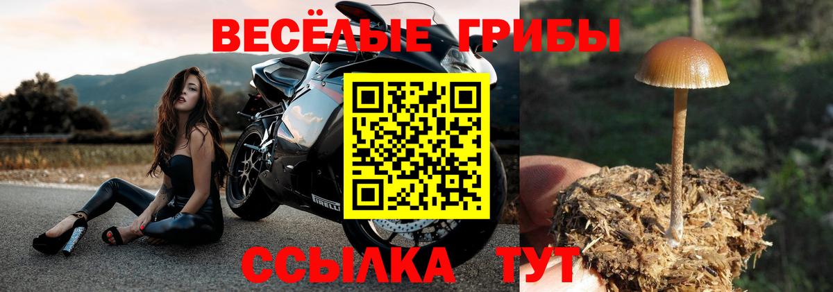 Галлюциногенные грибы Psilocybine cubensis Туймазы