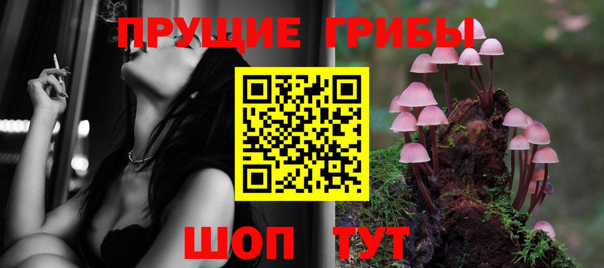 Галлюциногенные грибы Psilocybe  Вход с VPN  Туймазы 